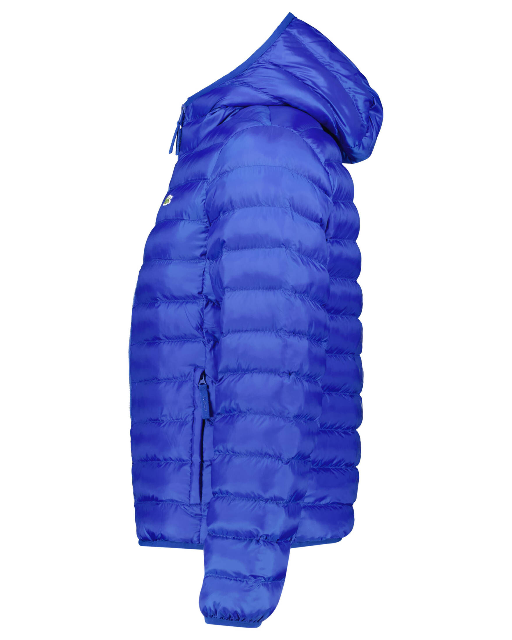 Herren Steppjacke 2512271-74 main image 1