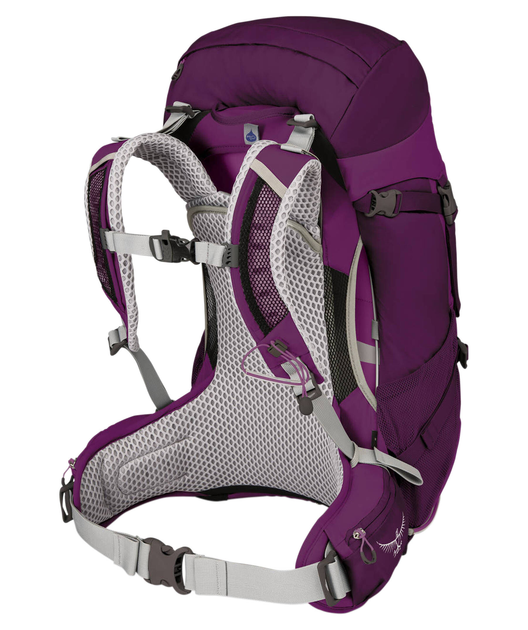 Osprey Damen Tages und Wanderrucksack "Sirrus 26" kaufen engelhorn