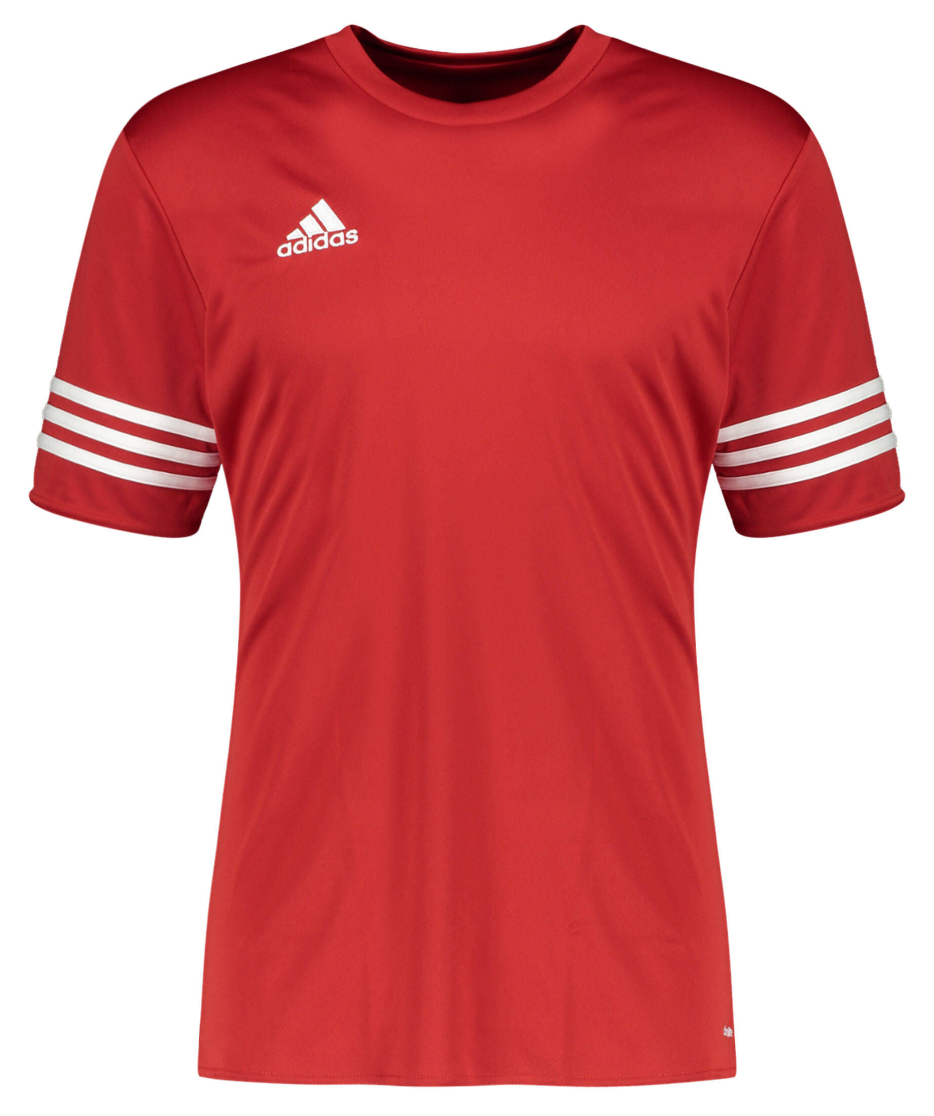adidas entrada 14 jersey