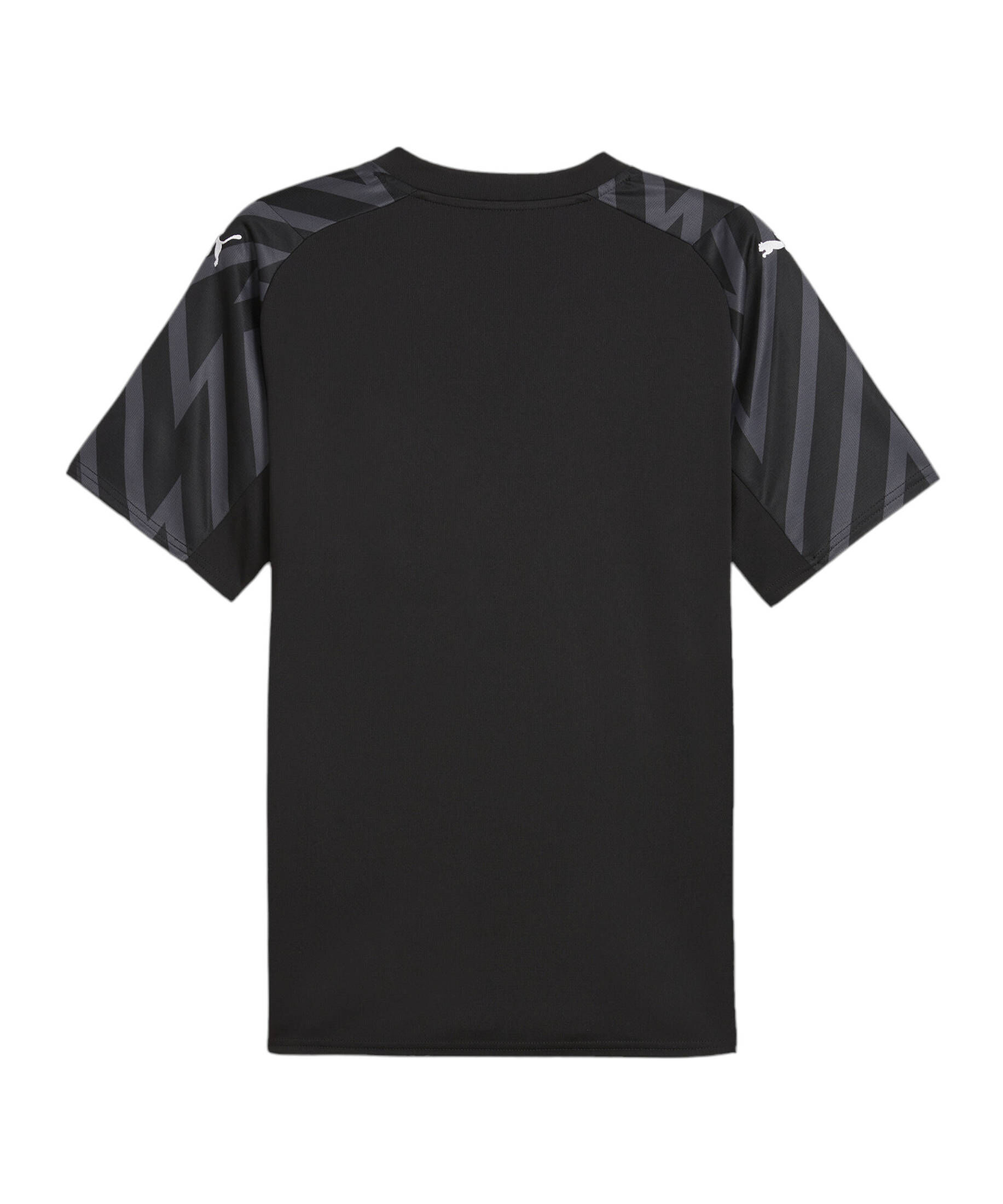 Replicas - Trikots - Nationalteams Schweiz TW-Trikot EM 2024