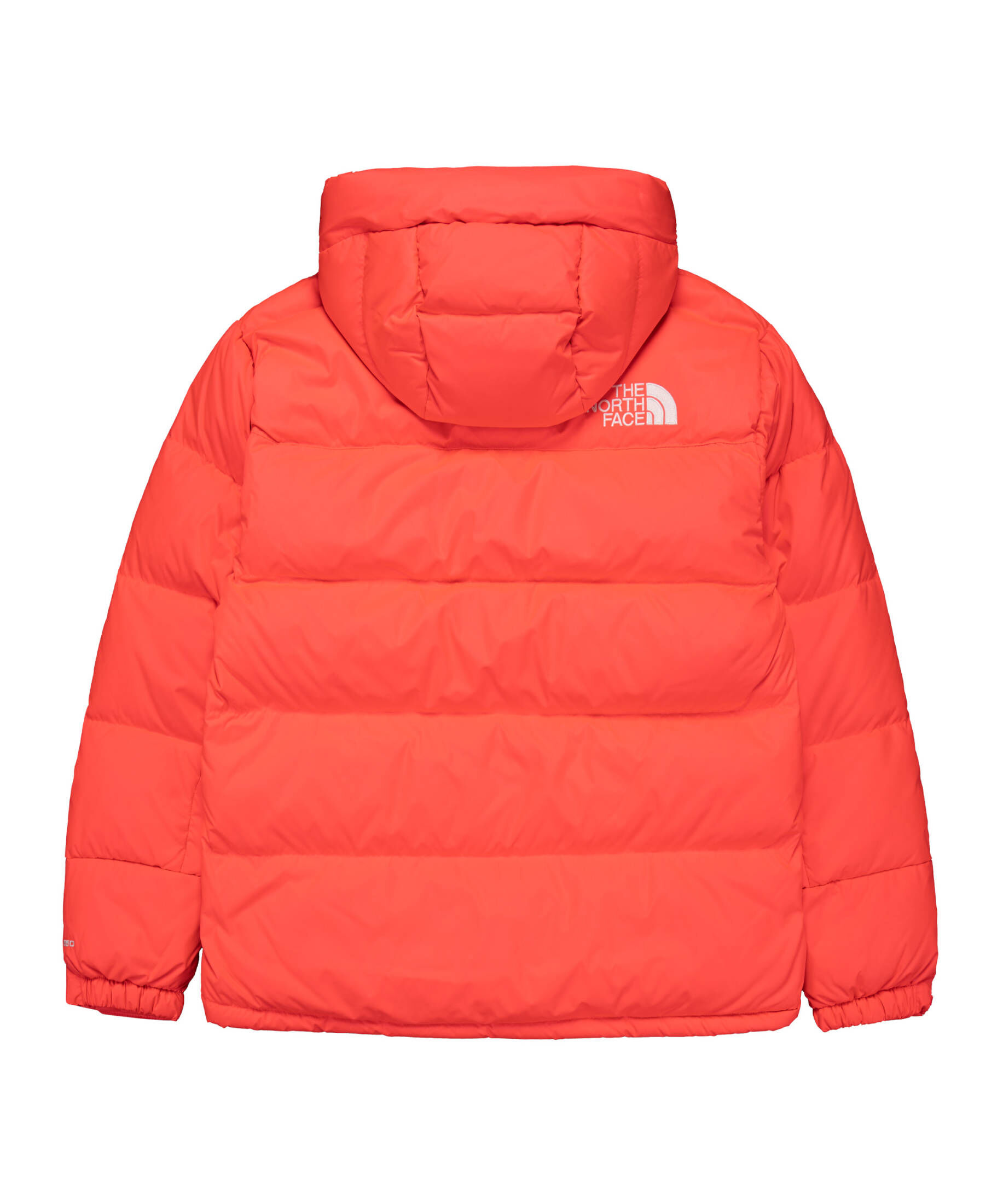 The North Face Winterjacke Damen Sale