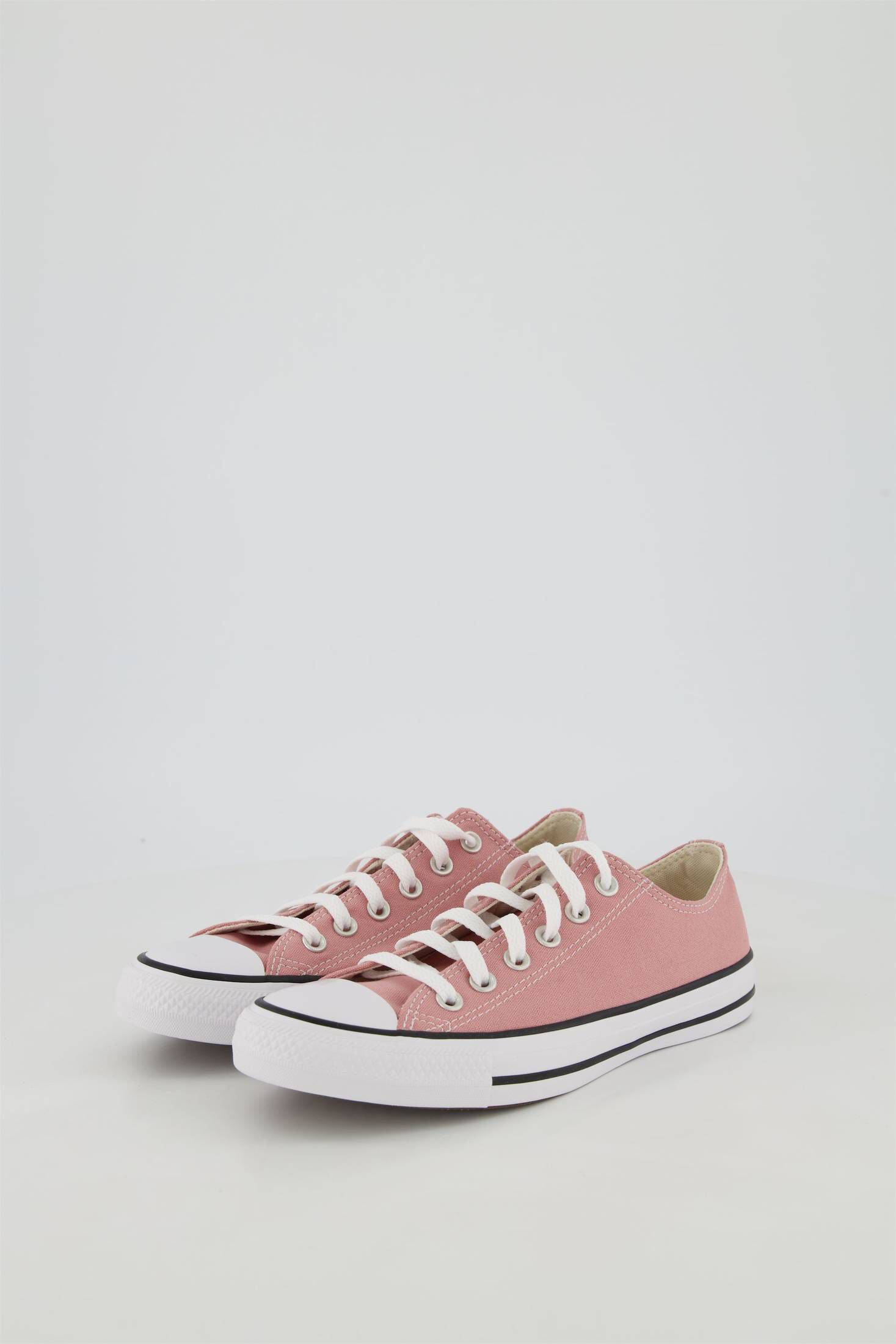 converse allstars damen