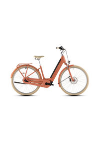 E-Bike Tiefeinstieg ARUBA HYBRID 600 Unisex 42